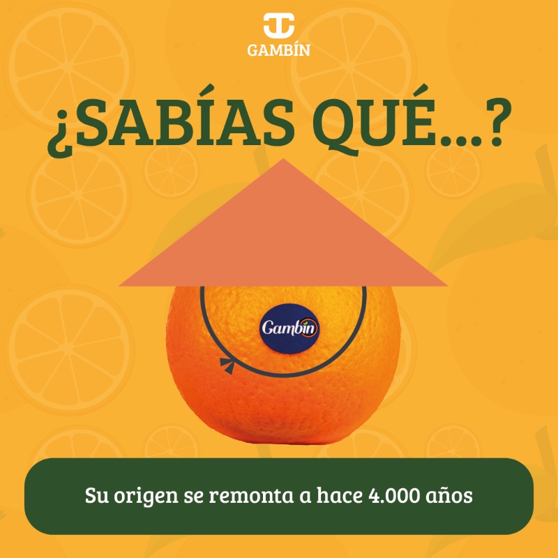 ¿Sabías qué...? El origen del cultivo de la naranja